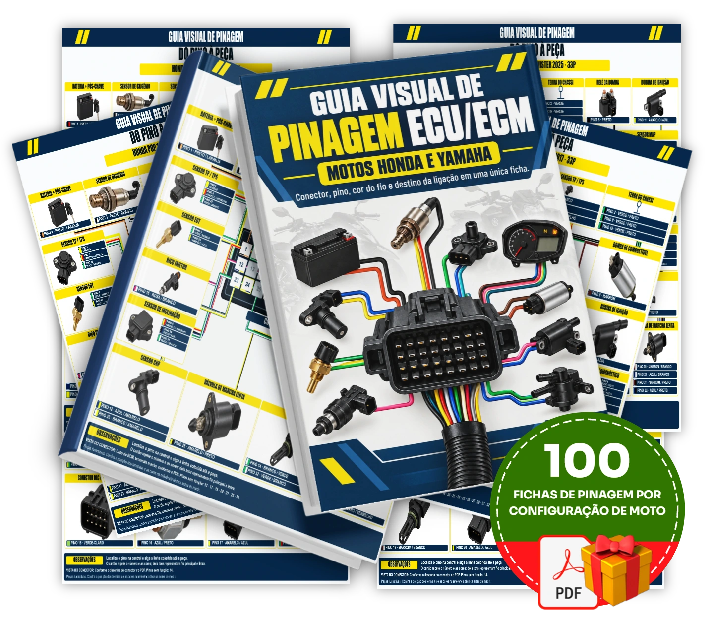 Guia Ilustrado de Pinagem da ECU para Motos